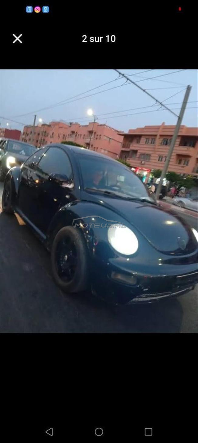 coccinil ww