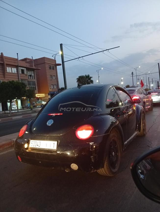 coccinil ww