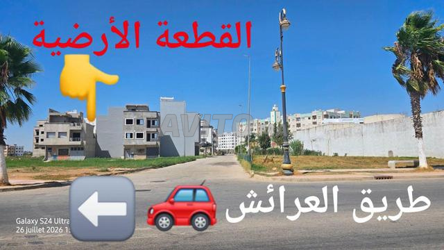 Offre de terrain titré à vendre Ksar El Kebir