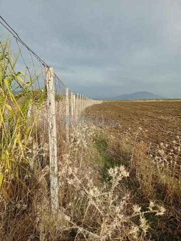 تاونات طريق الحجرية. مشروع مربح - 2