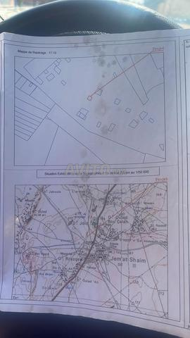 دوار الغراب - 2