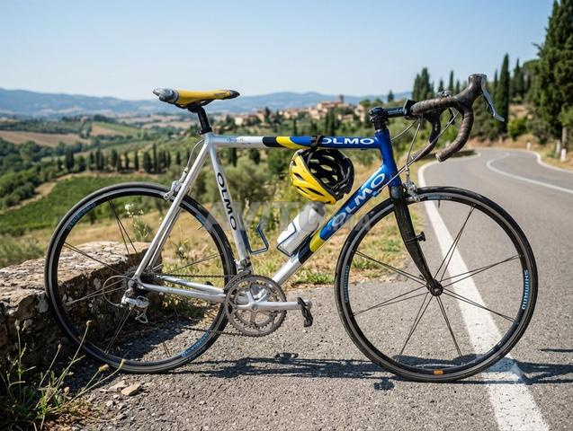Vélo de course OLMO original - 2
