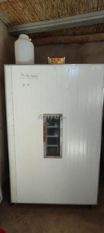 Incubateur d'œufs 1560 œufs - 2