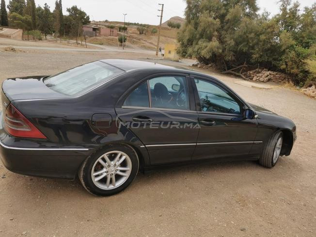 كاينة فجرادة