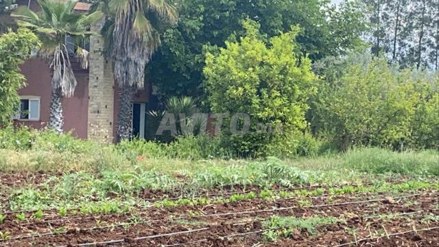 Je vends très belle propriété à 50 km de Rabat - 2