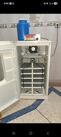 Incubateur neuf automatique - 2