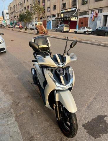 ورزازات تكمي الجديد