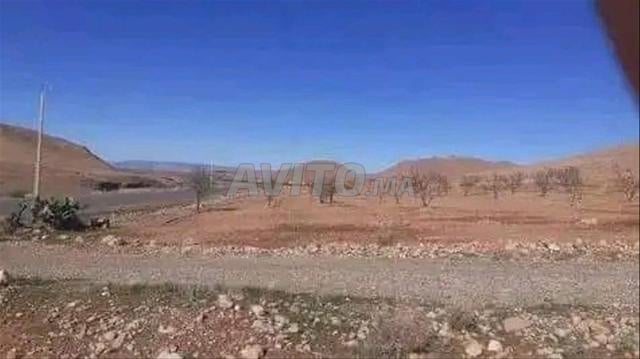 Terrain agricole à vendre près de Oujda, commune de Mestferki Zekara