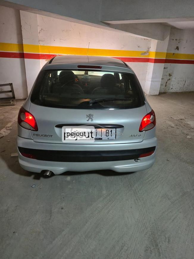 pejout 206 plus module 2012 