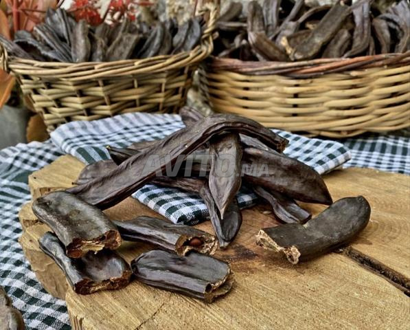 Caroube séchée qualité – Oujda / خروب مجفف وجدة
