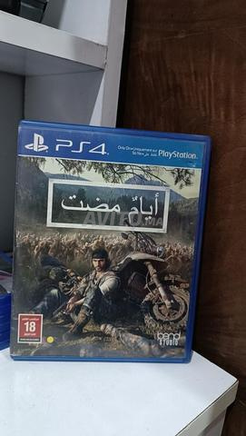 شييشاوة مراكش - 2