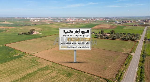 أرض للبيع بالعسيلات جماعة الساحل