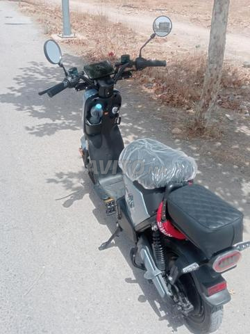 Moto électrique PINK Www - 2