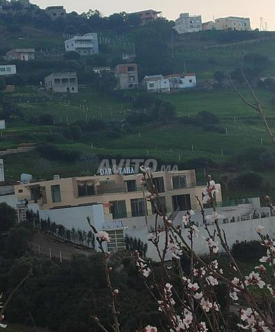 Oued Layane Ksar El Kébir - 2