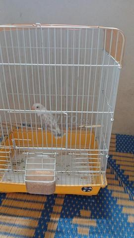الفقيه بن صالح - 2