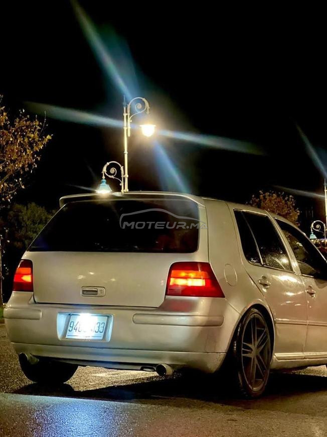 Golf 4 (Zebra)