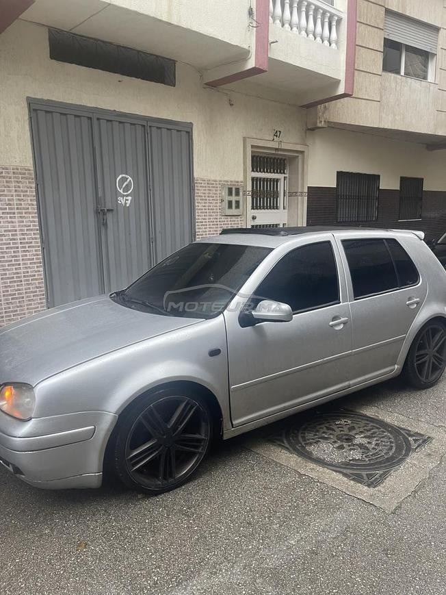 Golf 4 (Zebra)