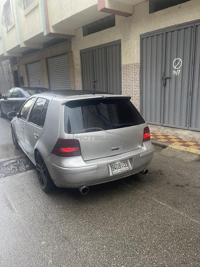 Golf 4 (Zebra)