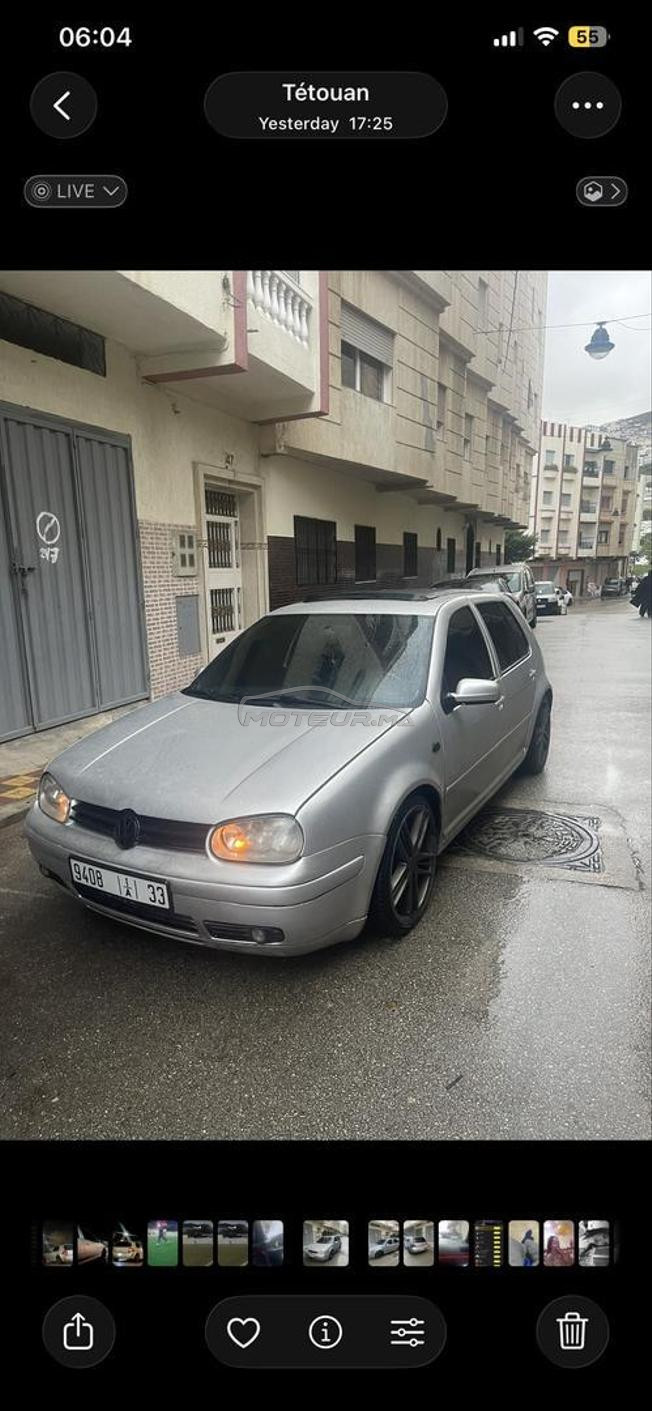 Golf 4 (Zebra)