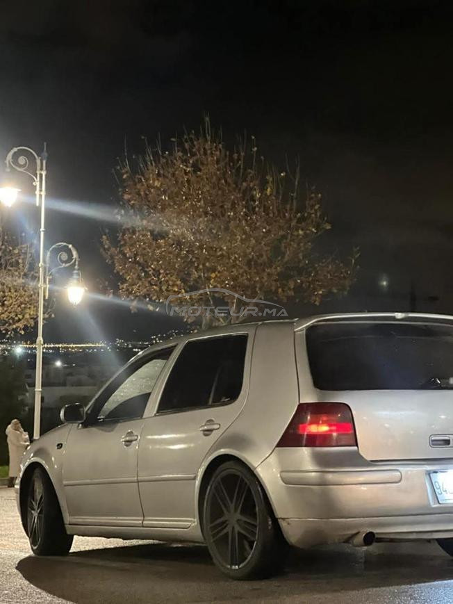 Golf 4 (Zebra)
