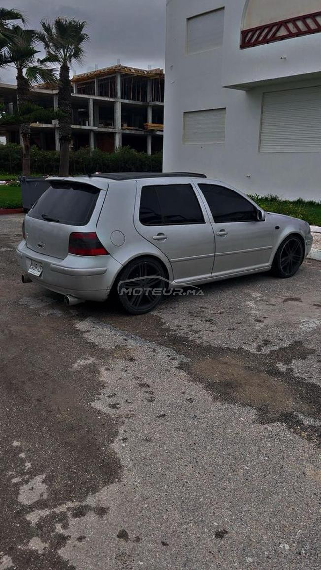 Golf 4 (Zebra)
