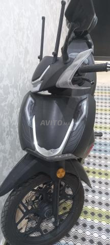 SH DAYTONA 2024 - 2