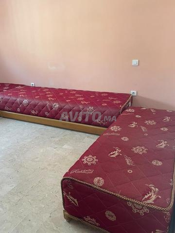 خشب أو إسفنج لشركة - 2