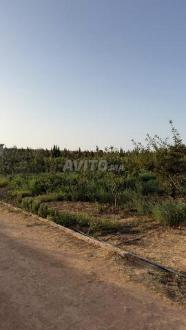 🌳 Ferme d’exception Route Mohammedia Benslimane