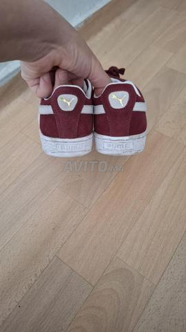 Puma couleur bordeaux