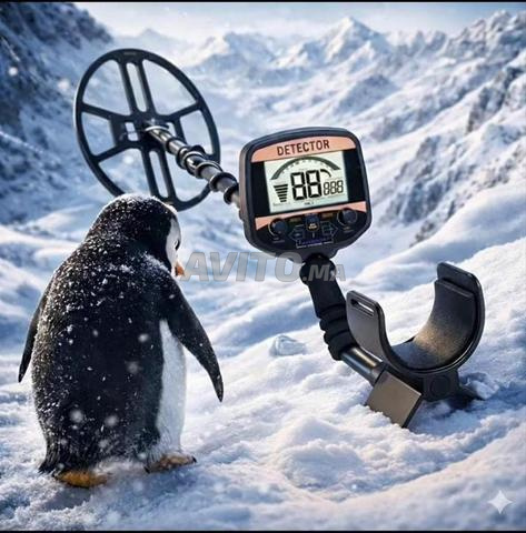 Détecteur de métaux