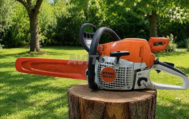 منشار كهربائي يعمل بالبنزين STIHL MS 251 - 2