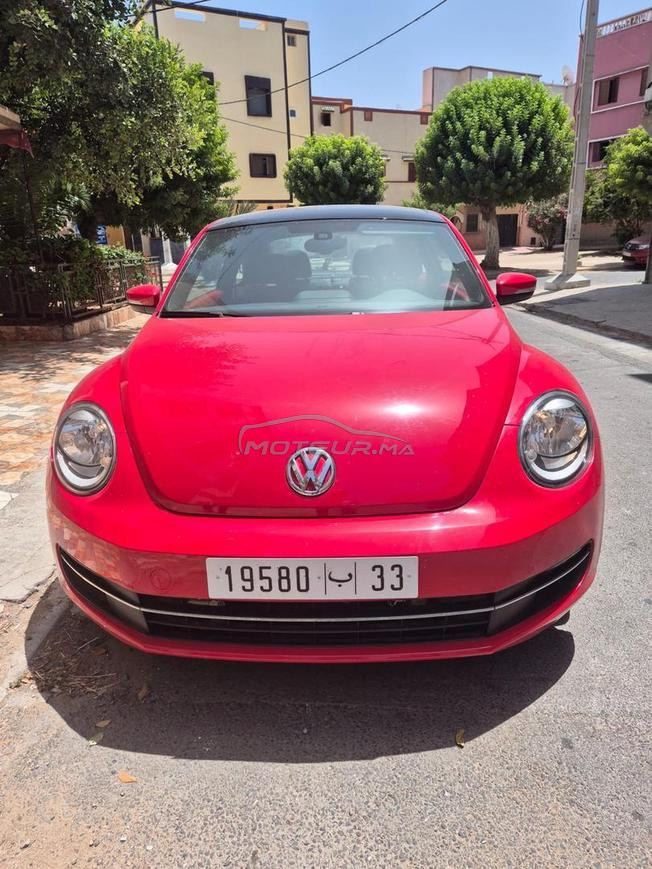 New Beetle 2019