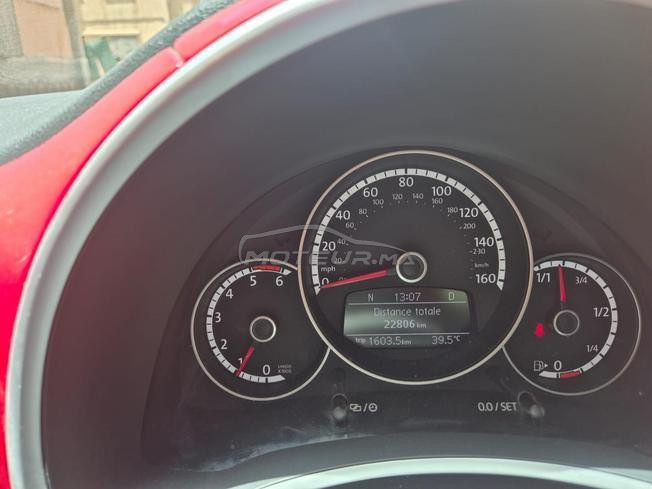 New Beetle 2019