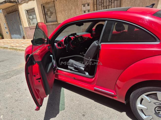 New Beetle 2019