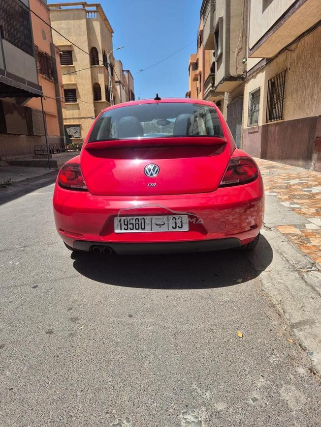 New Beetle 2019