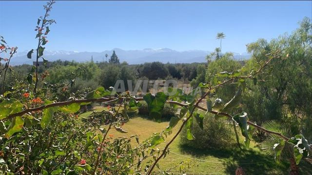 مزرعة مرخصة مشروع
