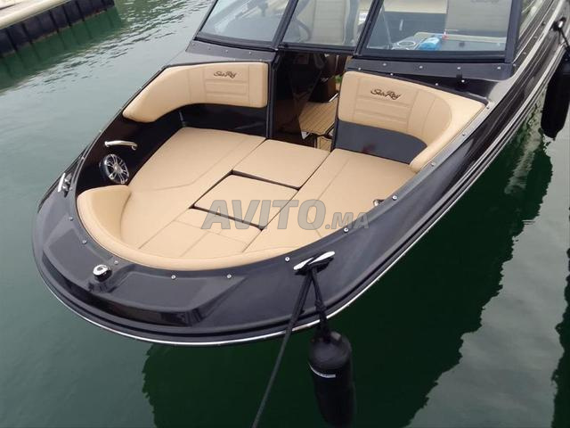 Sea Ray SPX 210 Black Beauty Edition 2021