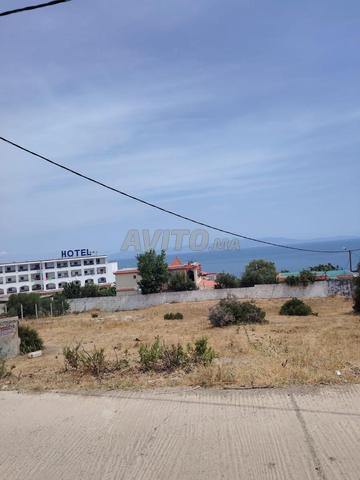 Terrain Oued Alian - 2