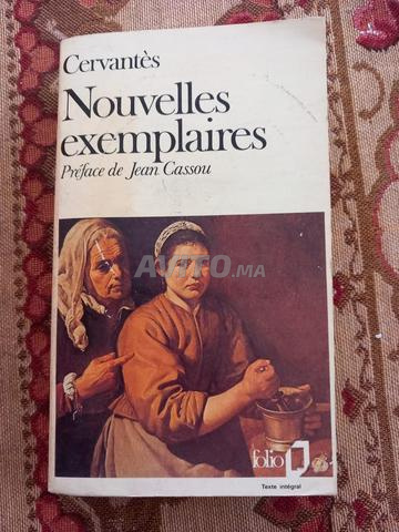 روايتان لميغيل دي ثيربانتس دون كيخوته - 2