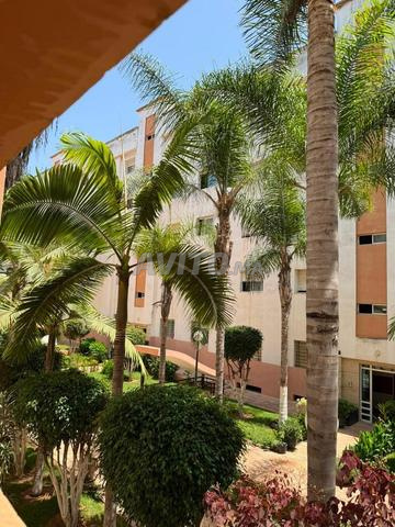 Appartement à louer quartier Chamao - 2