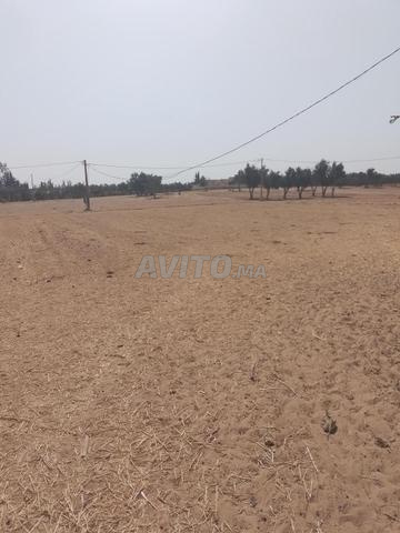 1 hectare aménagé sur bitume - 2