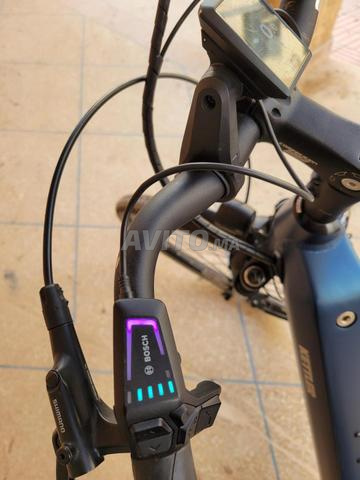 دراجة كهربائية Kettler Quadriga Smart 2023 - 2