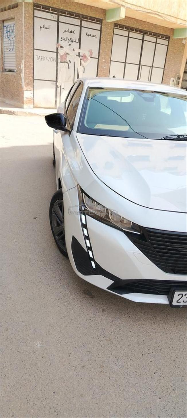 الشمال المغرب الدريوش 