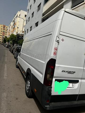 فيات دوكاتو ماكسي 3 لوحات - 2
