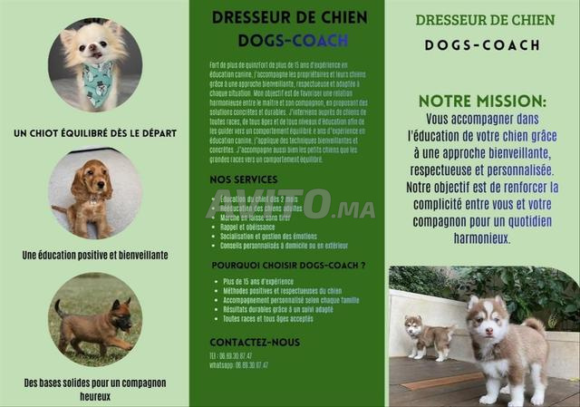 Dresseur éducateur des chiens