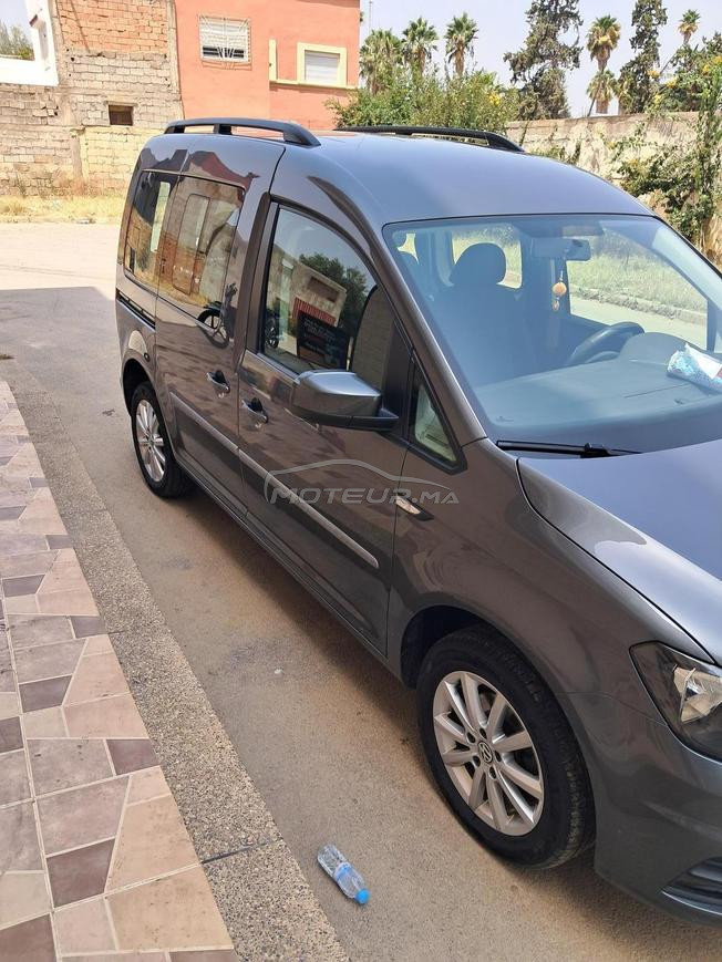 cady modele 2019 2 litre