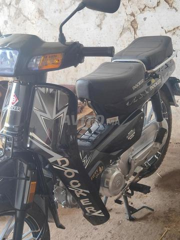 Dokker C100 modèle 2026 – 2500 km - 2