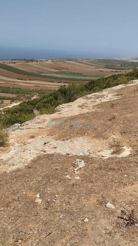 Douar El Haddadcha – Commune Ayir – Province Safi. - 2