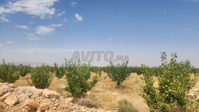 مزرعة في بوعياش