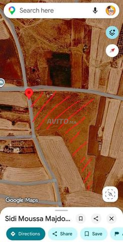 Terrain de 20 000 m² à vendre – Sidi Moussa Majdoub